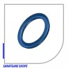 اتصالات|پکینگ پیستونی