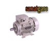 الکترو موتور و گیربکس|الکتروموتور ترک ایلماز 1.1KW سه فاز 1000 دور