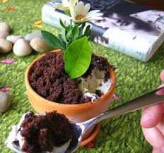 درمورد ترکیب معدنی گیاهان بیشتر بدانیم