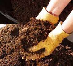 نیتروژن موردنیاز برای خاک و اثرات آن