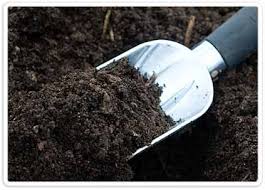 عوامل اسیدی و طبیعی موثر در خاک